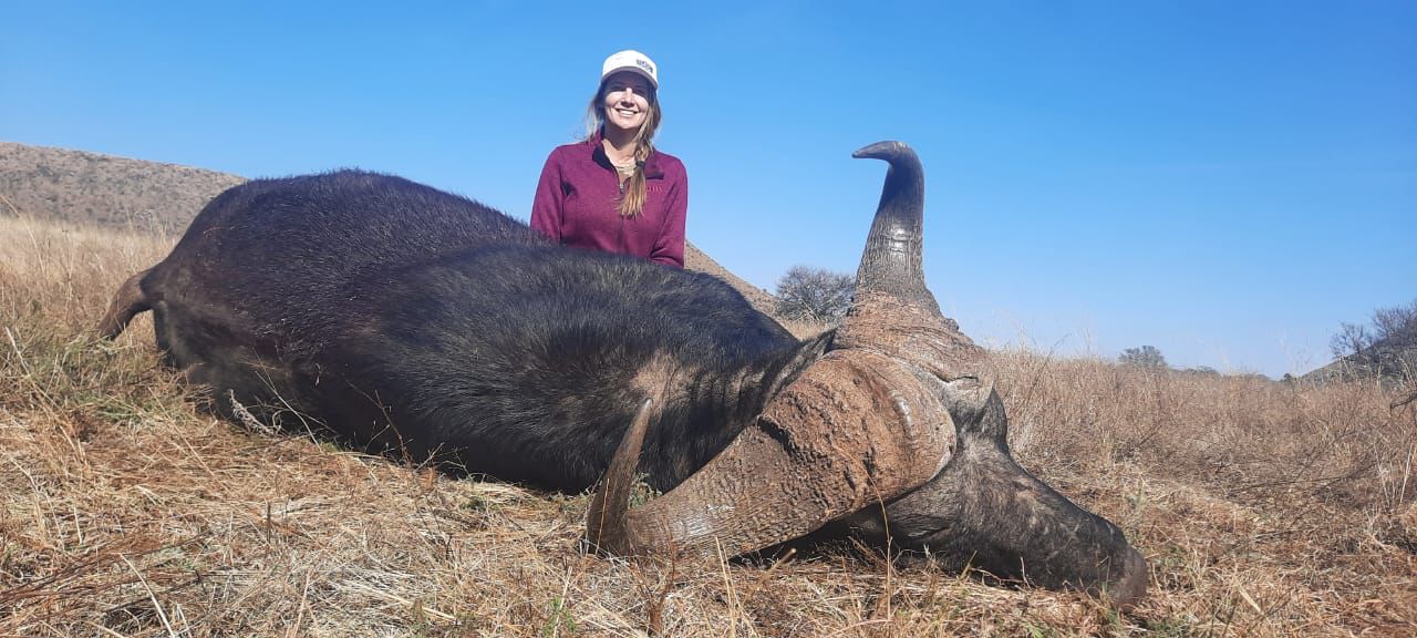Hunting Cape Buffalo In Africa Huntershill Safaris