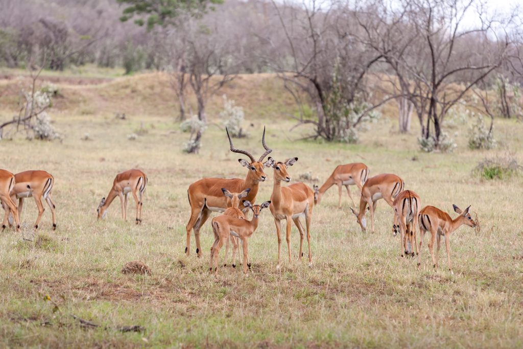 planning hunting trip