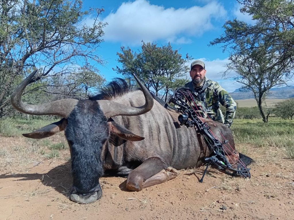 bow hunting wildebeest