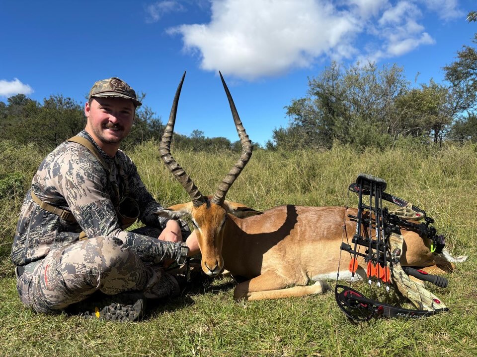 bow hunting impala
